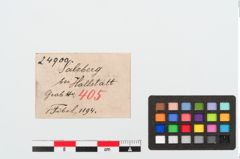 Etiketten zu Bronzebrillenfibel (NHMW-PRAE-024900)